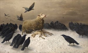Kvaler